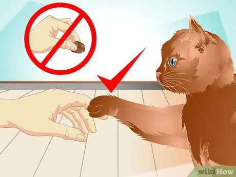 Image intitulée Teach a Cat to "High Five" Step 11